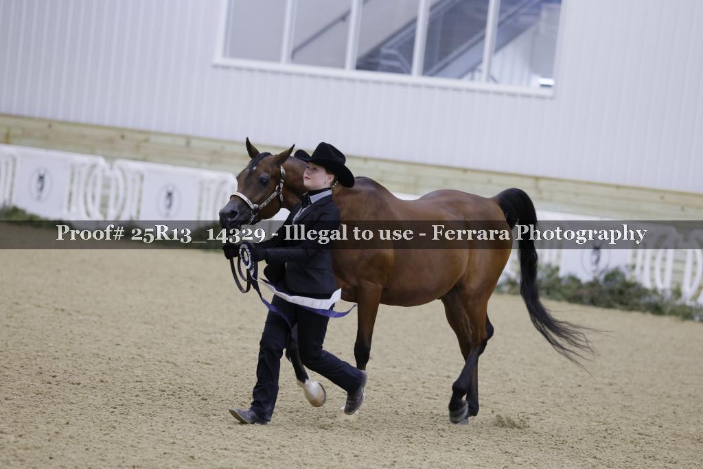 Proof 25R13_14329