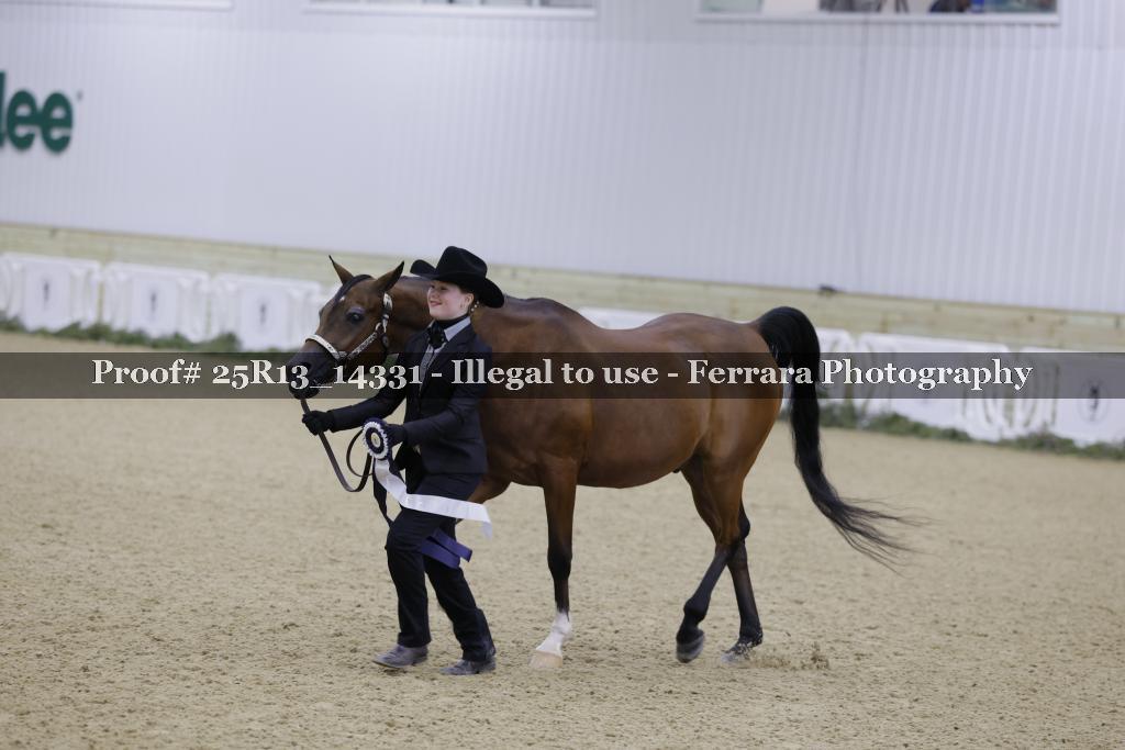 Proof 25R13_14331