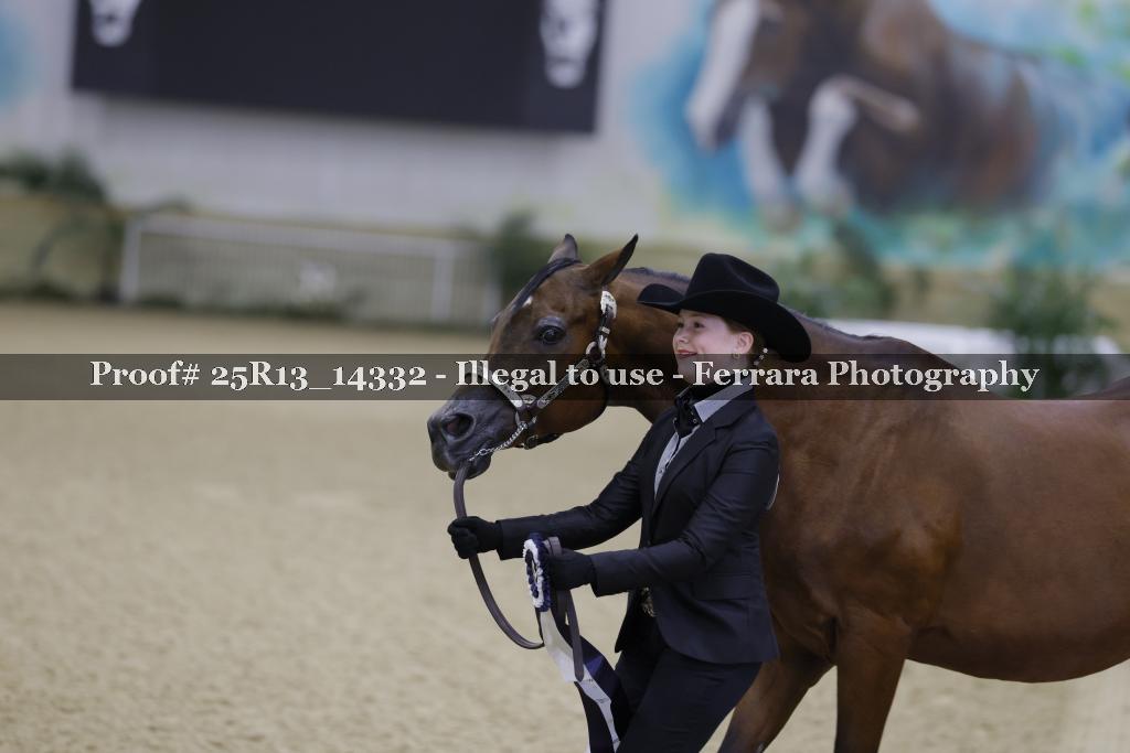Proof 25R13_14332