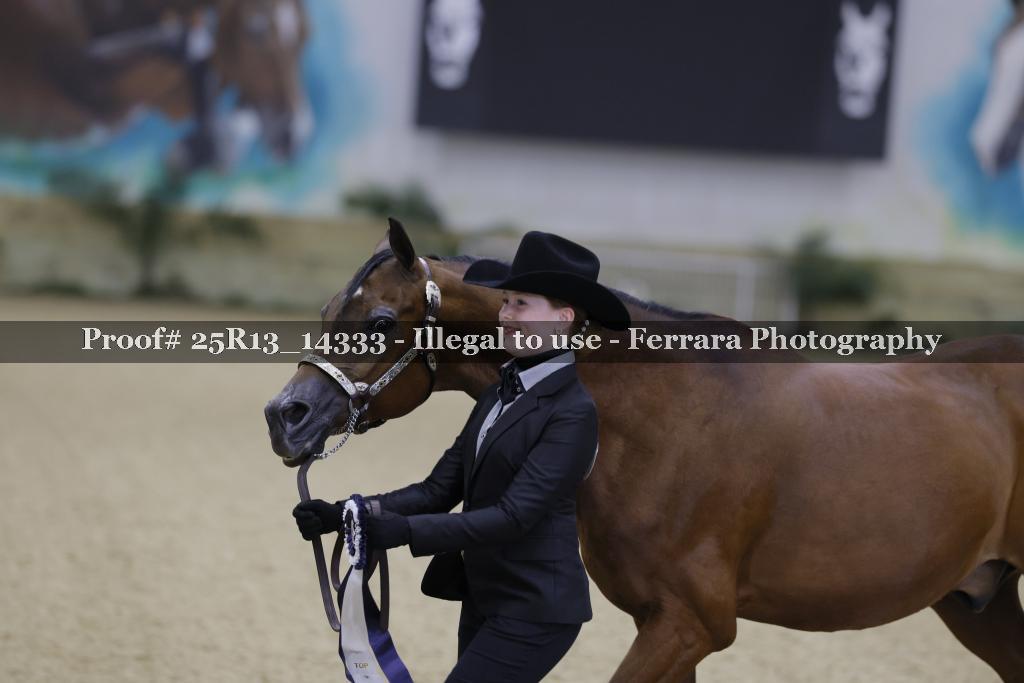 Proof 25R13_14333