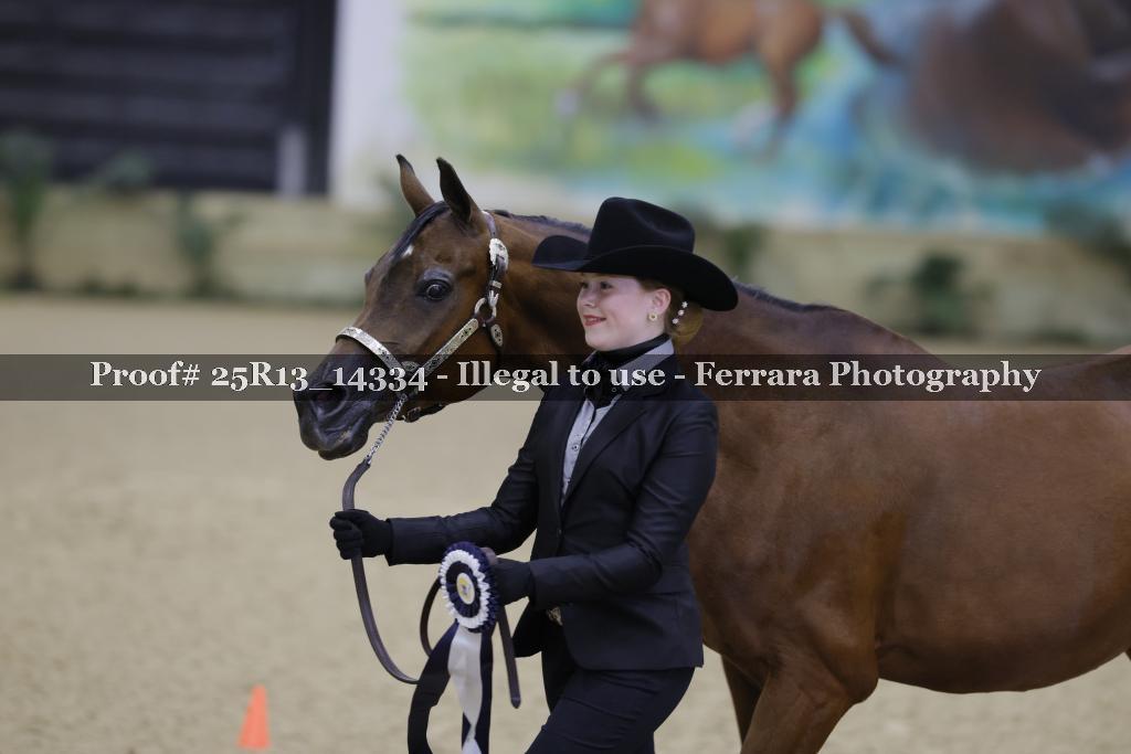 Proof 25R13_14334