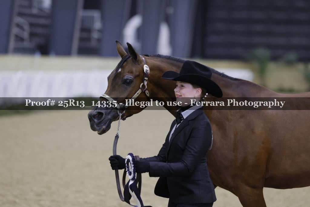 Proof 25R13_14335
