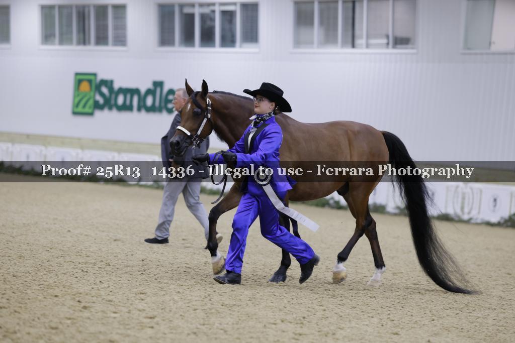 Proof 25R13_14336