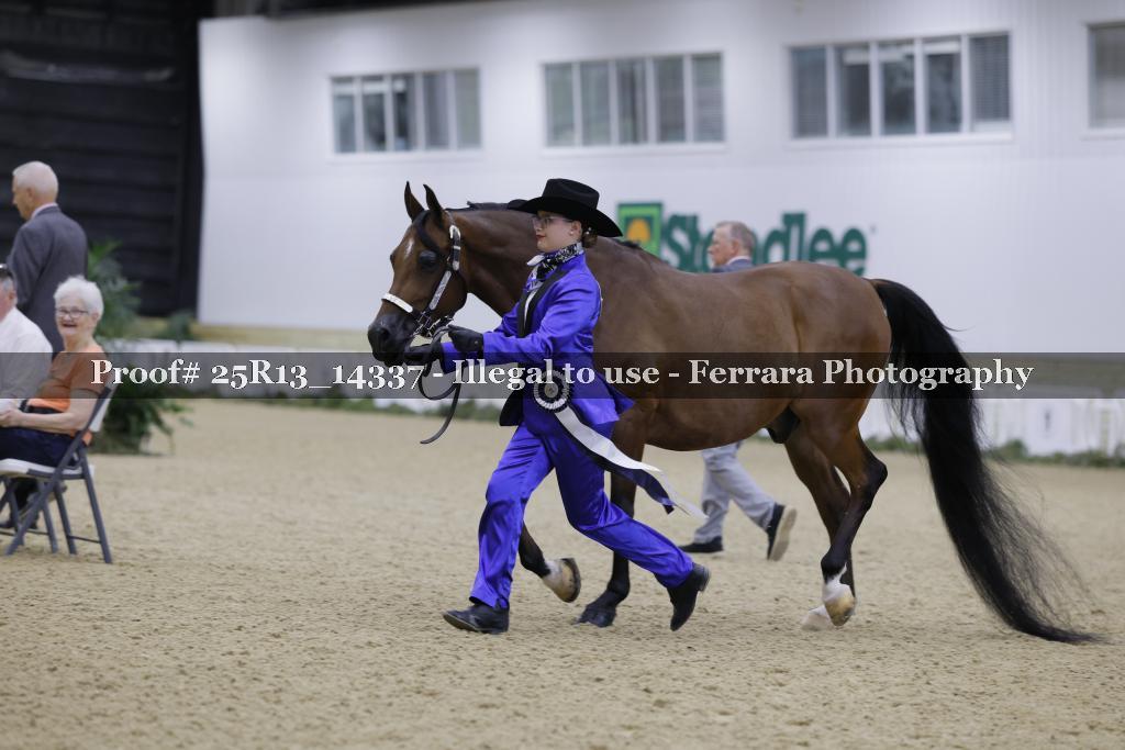 Proof 25R13_14337