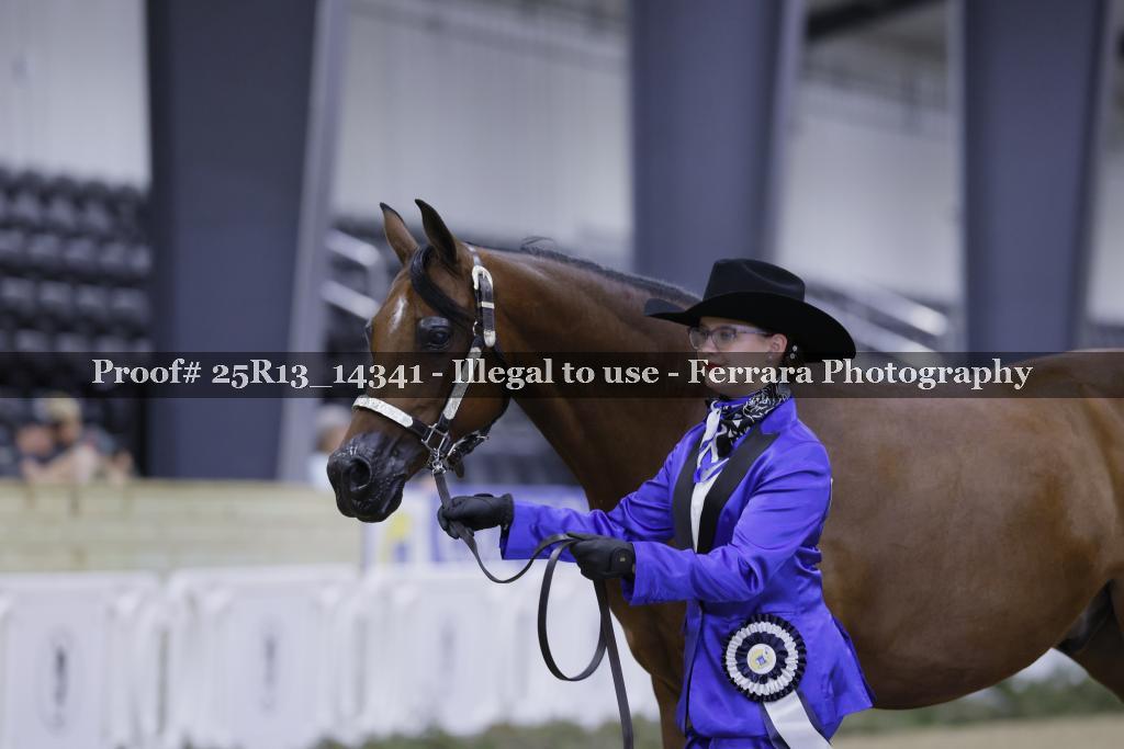 Proof 25R13_14341