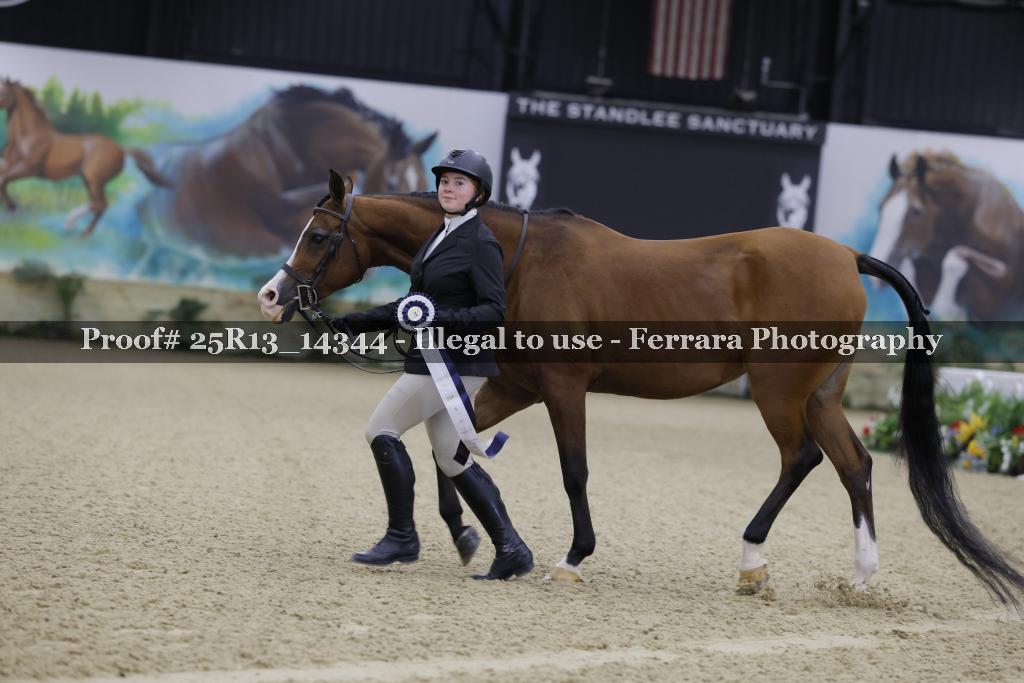 Proof 25R13_14344
