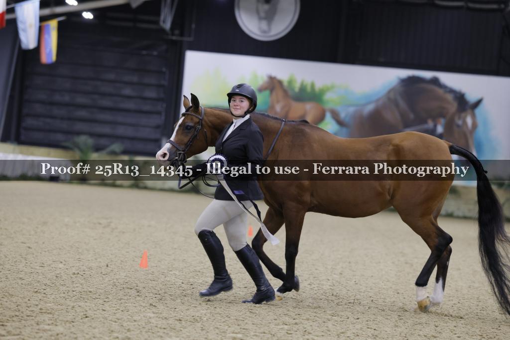 Proof 25R13_14345