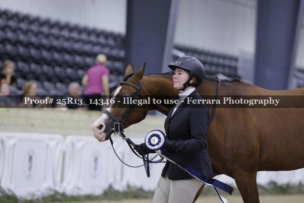 Proof 25R13_14346