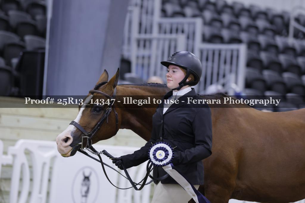 Proof 25R13_14347