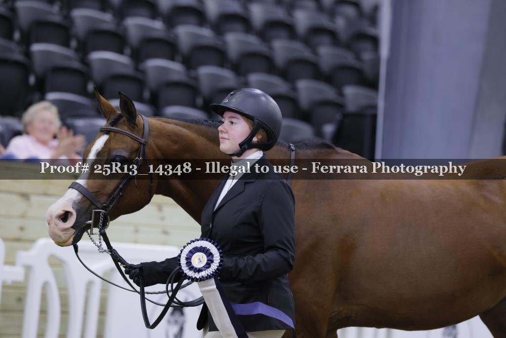 Proof 25R13_14348