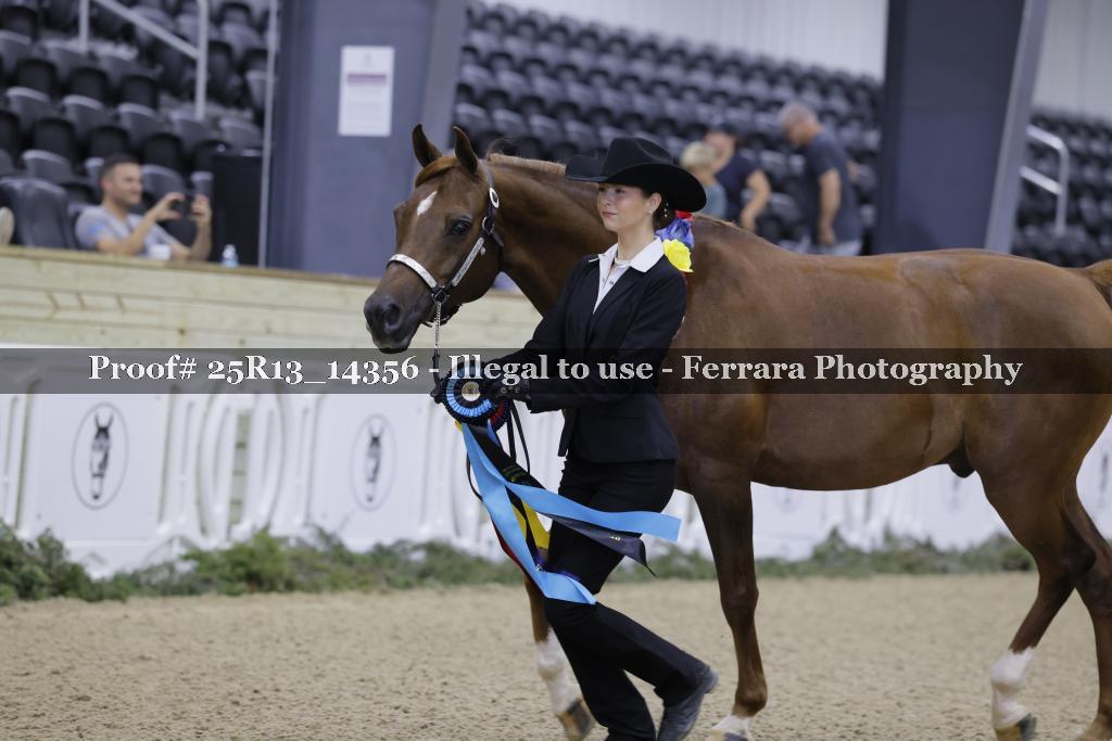 Proof 25R13_14356