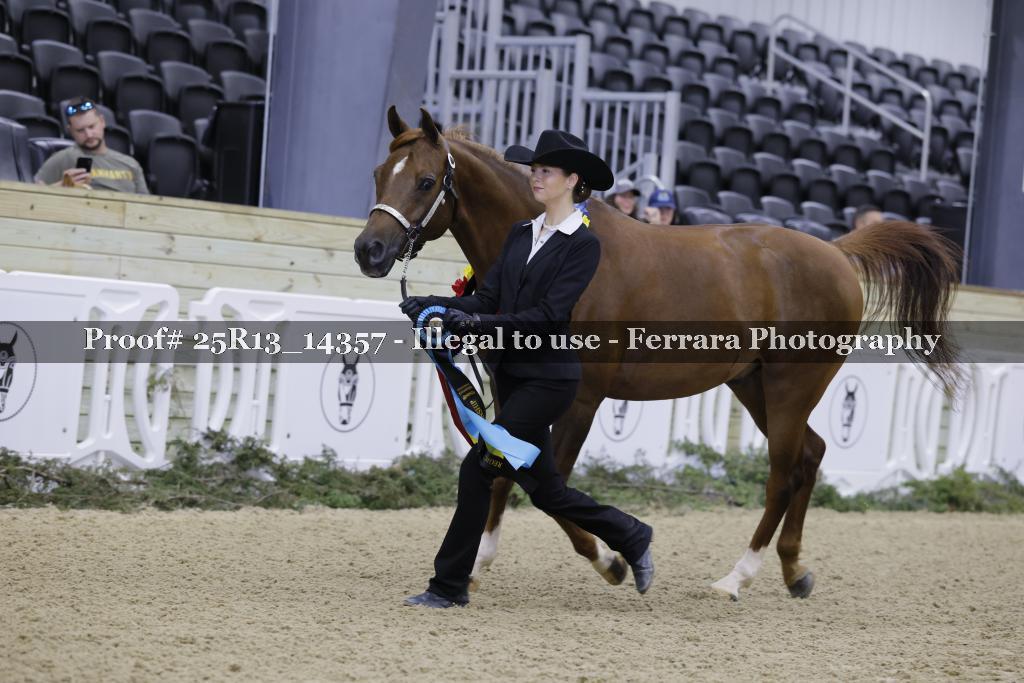 Proof 25R13_14357