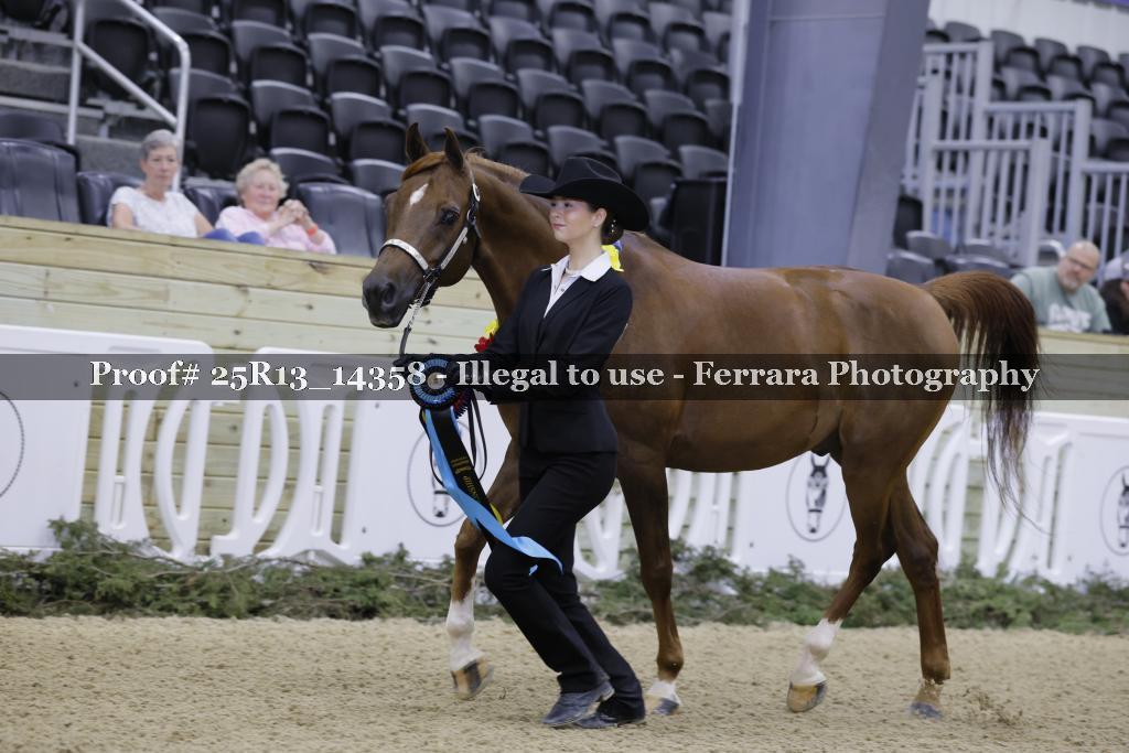 Proof 25R13_14358