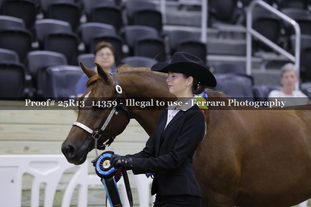 Proof 25R13_14359
