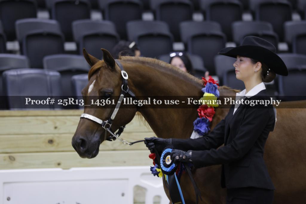Proof 25R13_14361