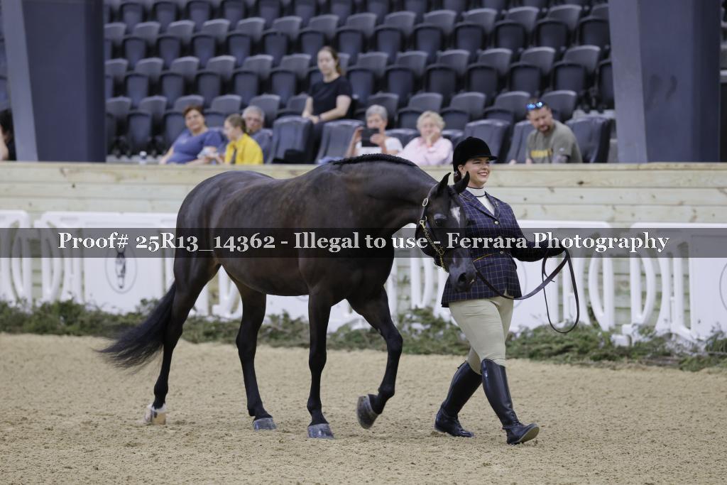 Proof 25R13_14362
