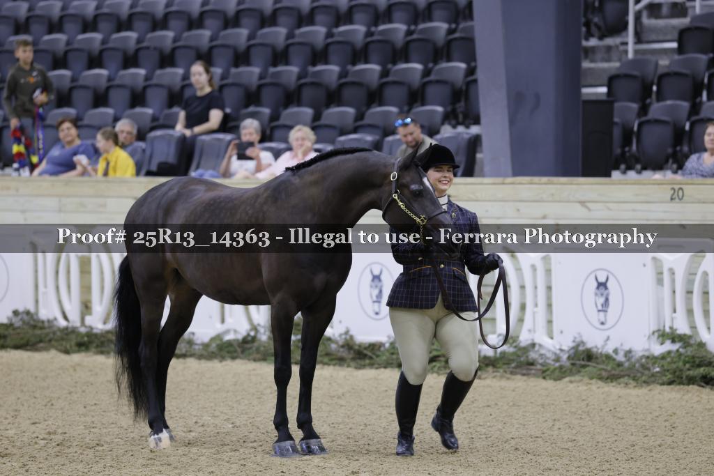 Proof 25R13_14363