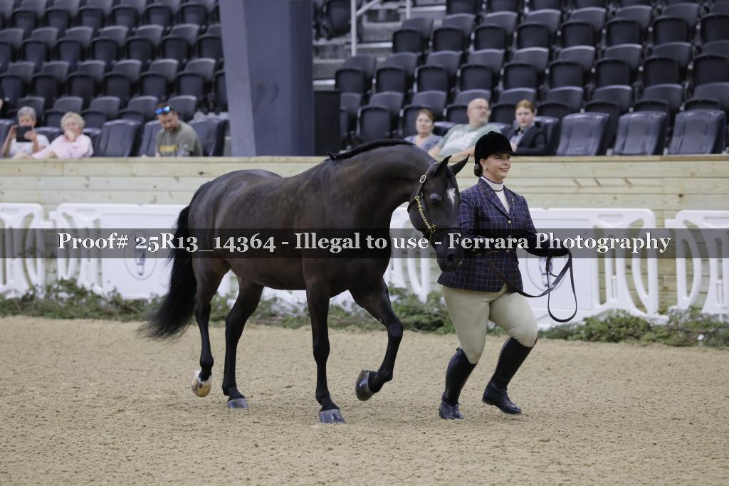 Proof 25R13_14364