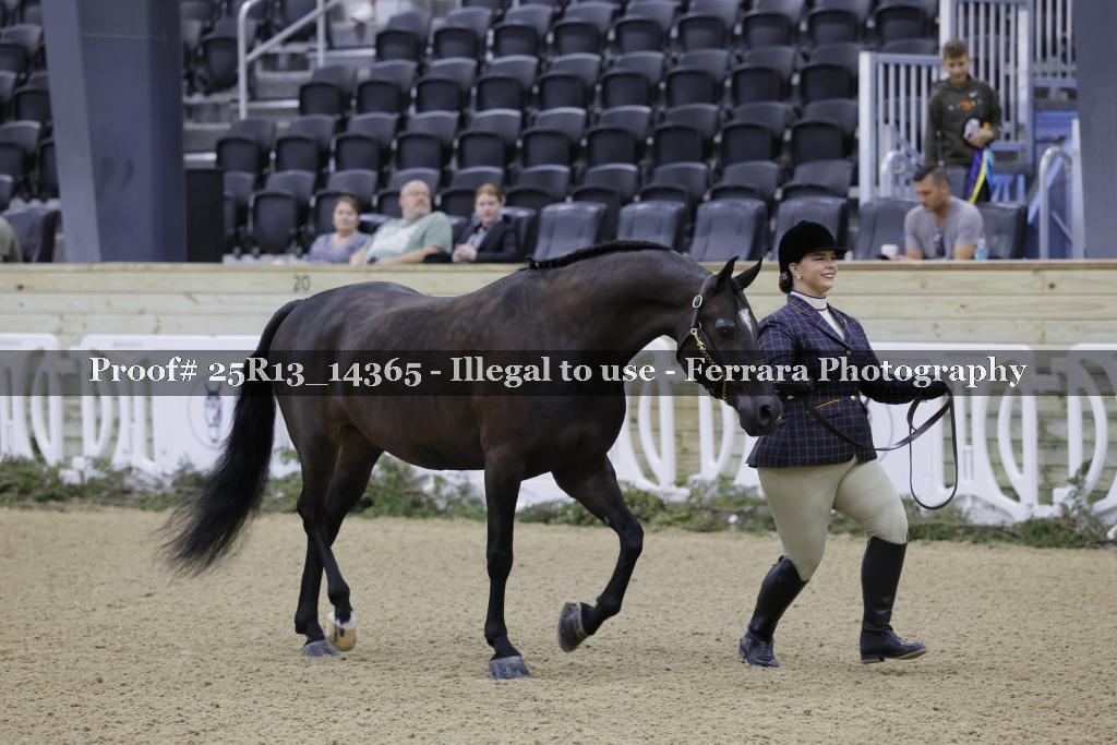 Proof 25R13_14365