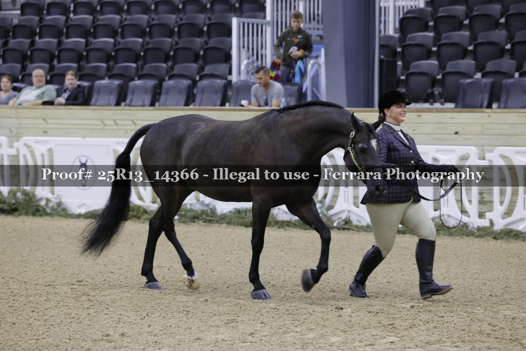 Proof 25R13_14366