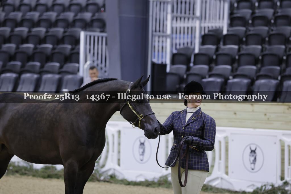 Proof 25R13_14367