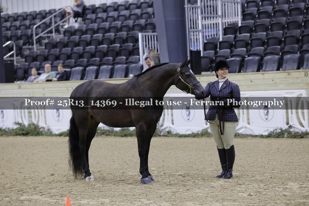 Proof 25R13_14369