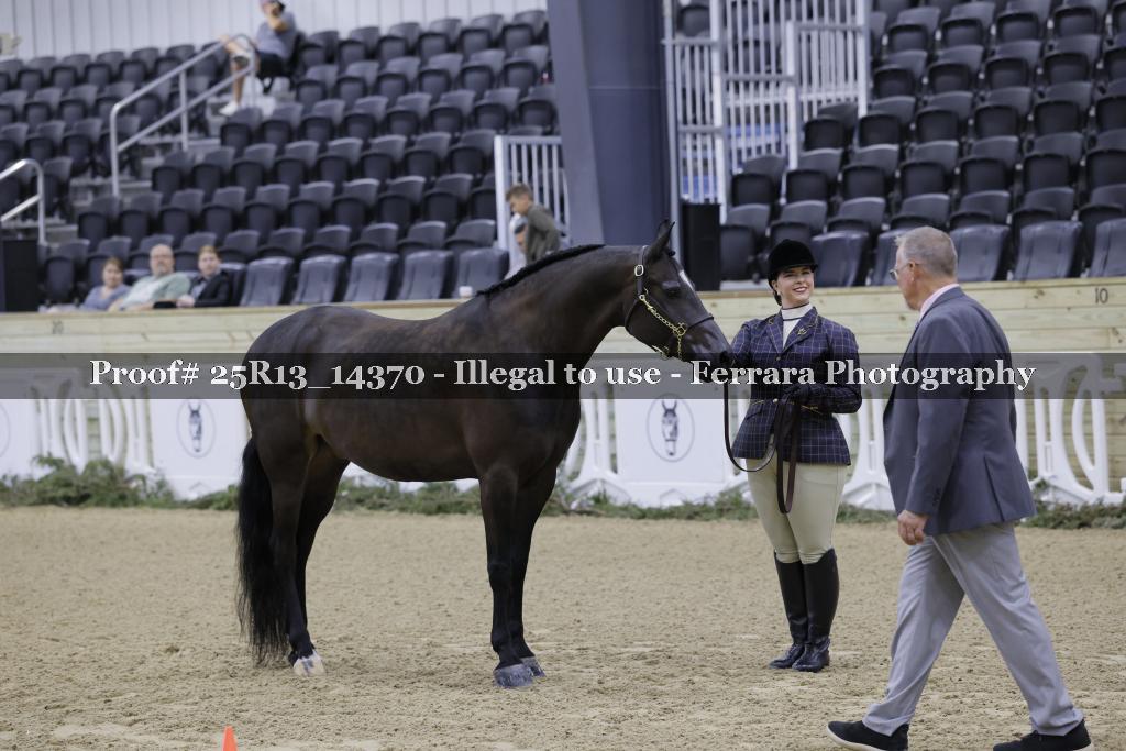 Proof 25R13_14370