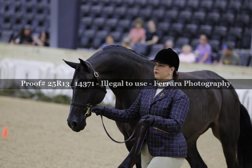Proof 25R13_14371