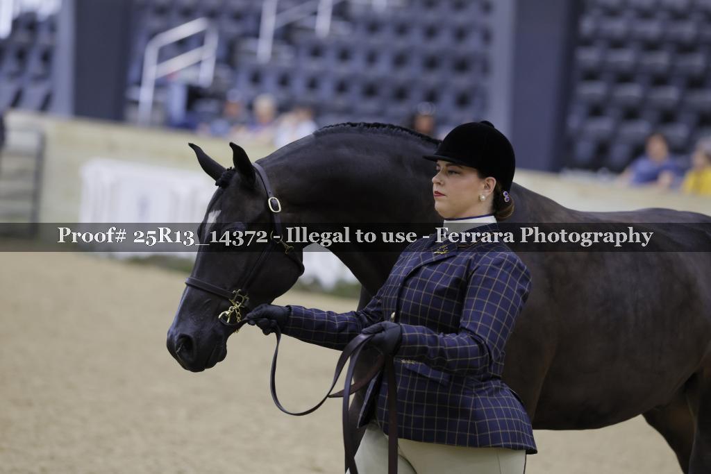 Proof 25R13_14372