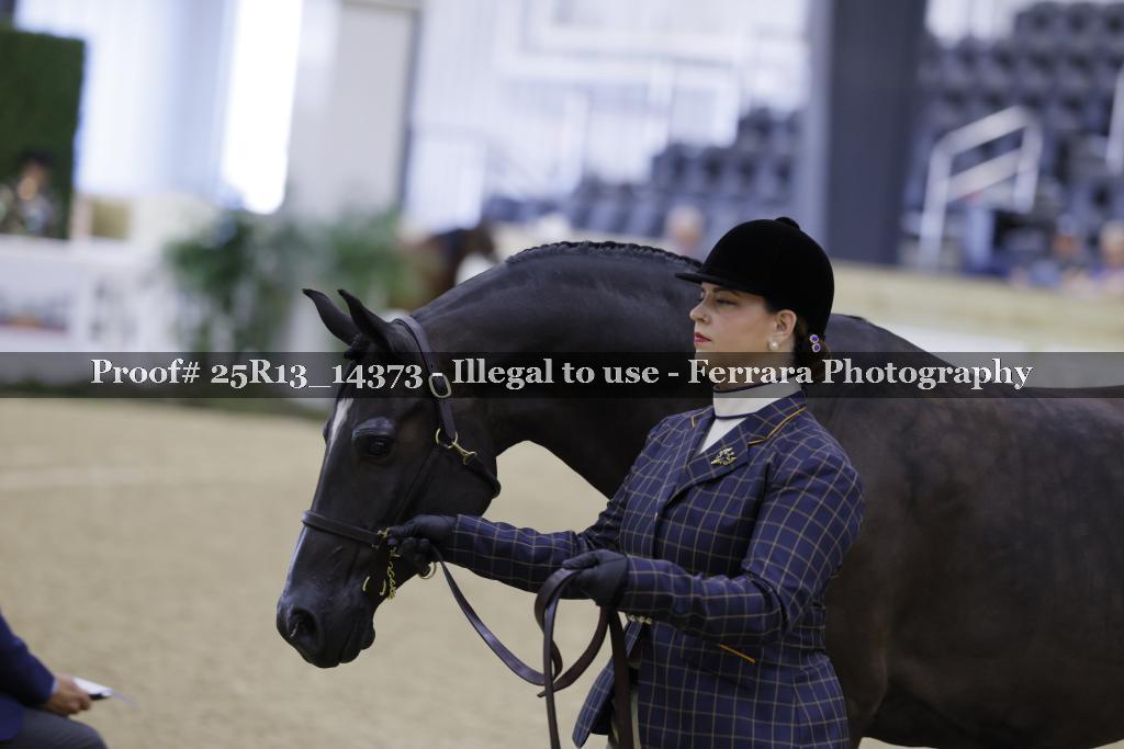 Proof 25R13_14373