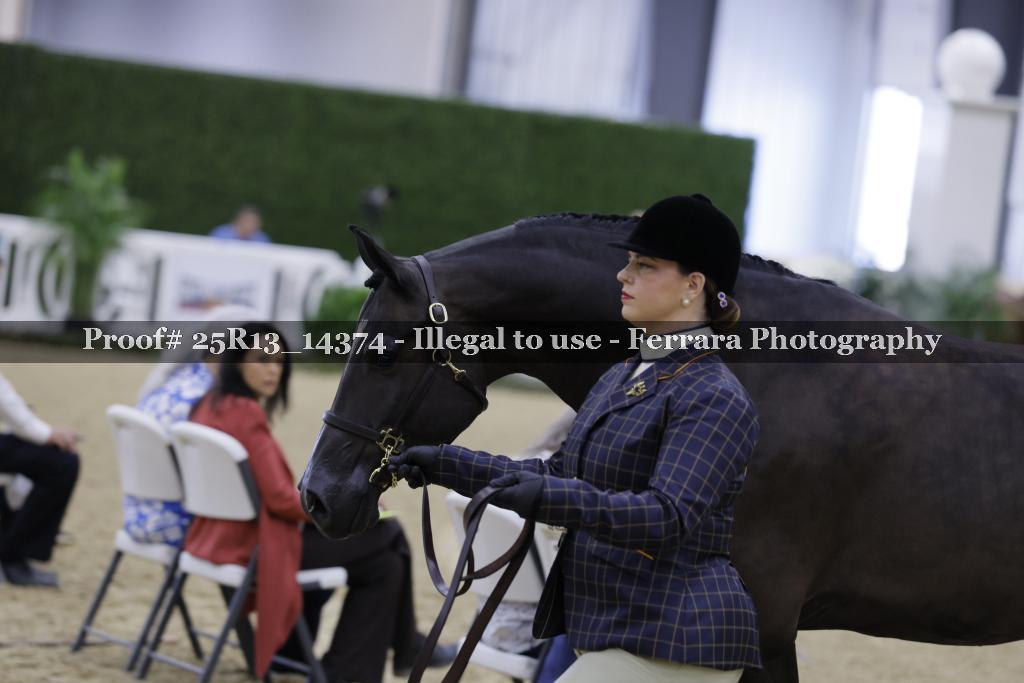 Proof 25R13_14374