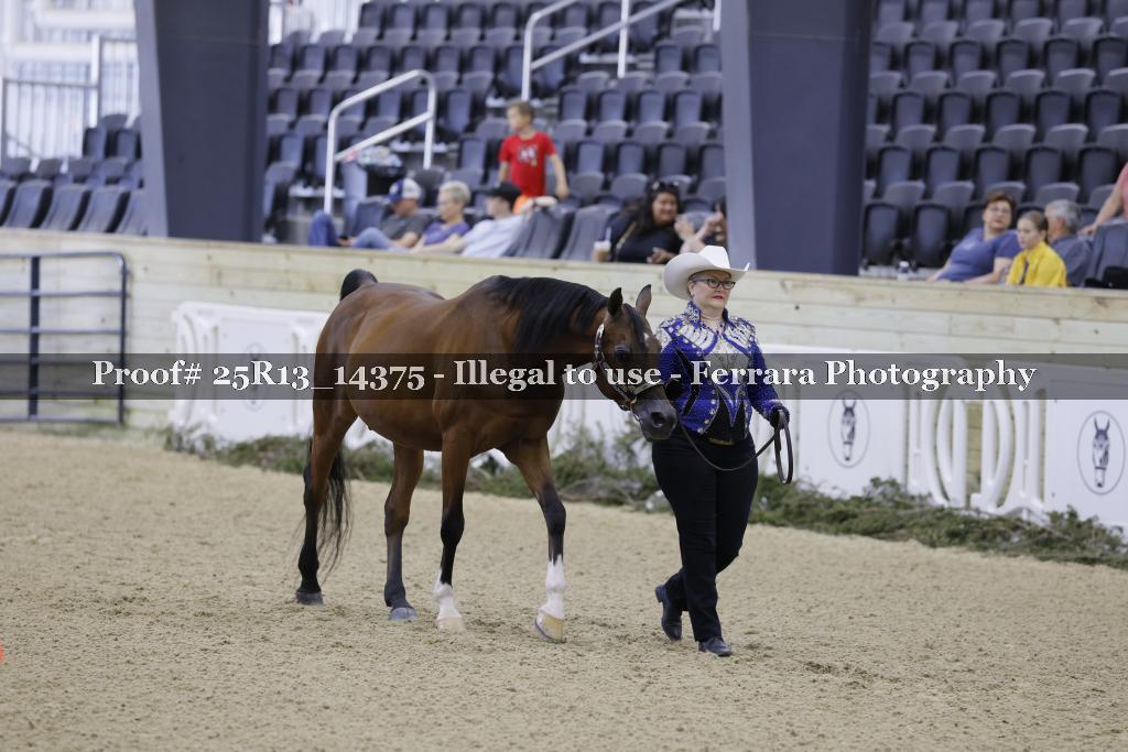 Proof 25R13_14375