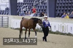 25R13_14375 proof
