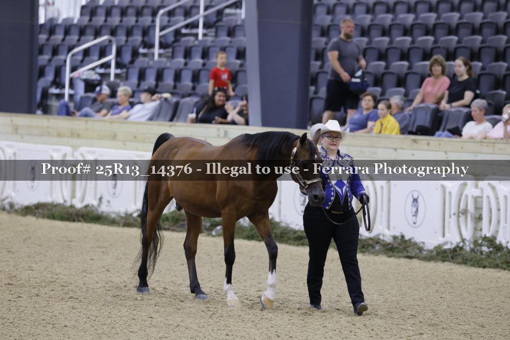 Proof 25R13_14376