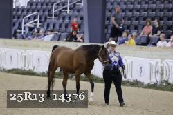 25R13_14376 proof