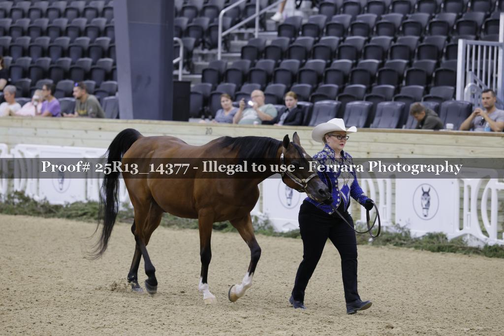 Proof 25R13_14377