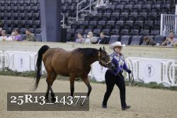 25R13_14377 proof