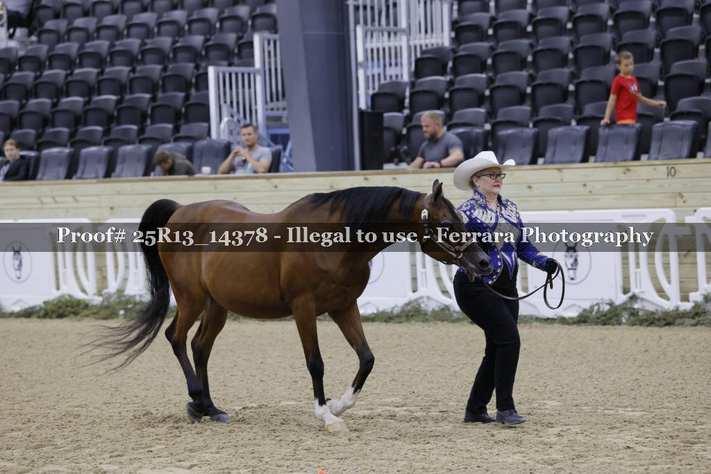 Proof 25R13_14378