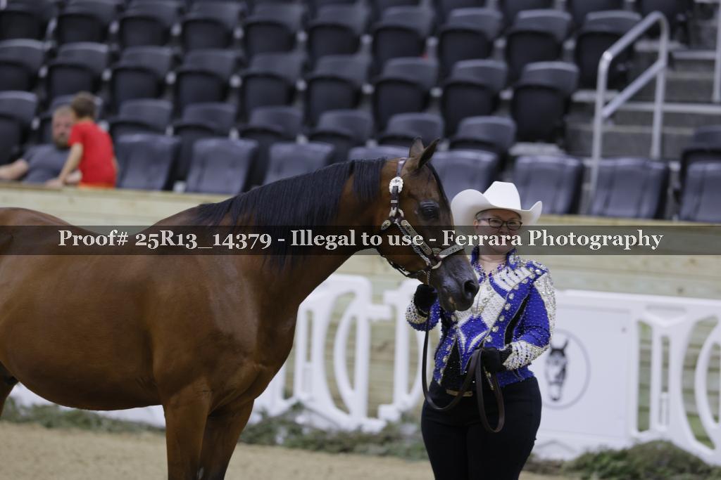 Proof 25R13_14379