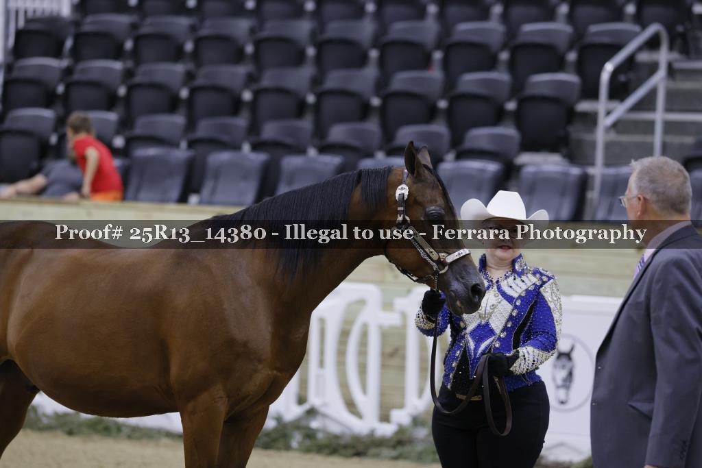 Proof 25R13_14380