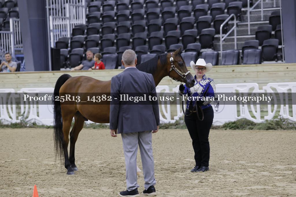 Proof 25R13_14382