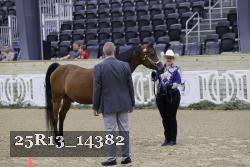 25R13_14382 proof