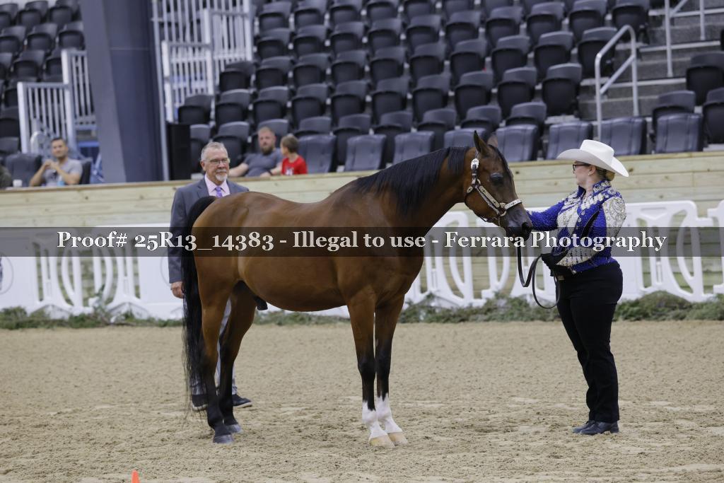 Proof 25R13_14383