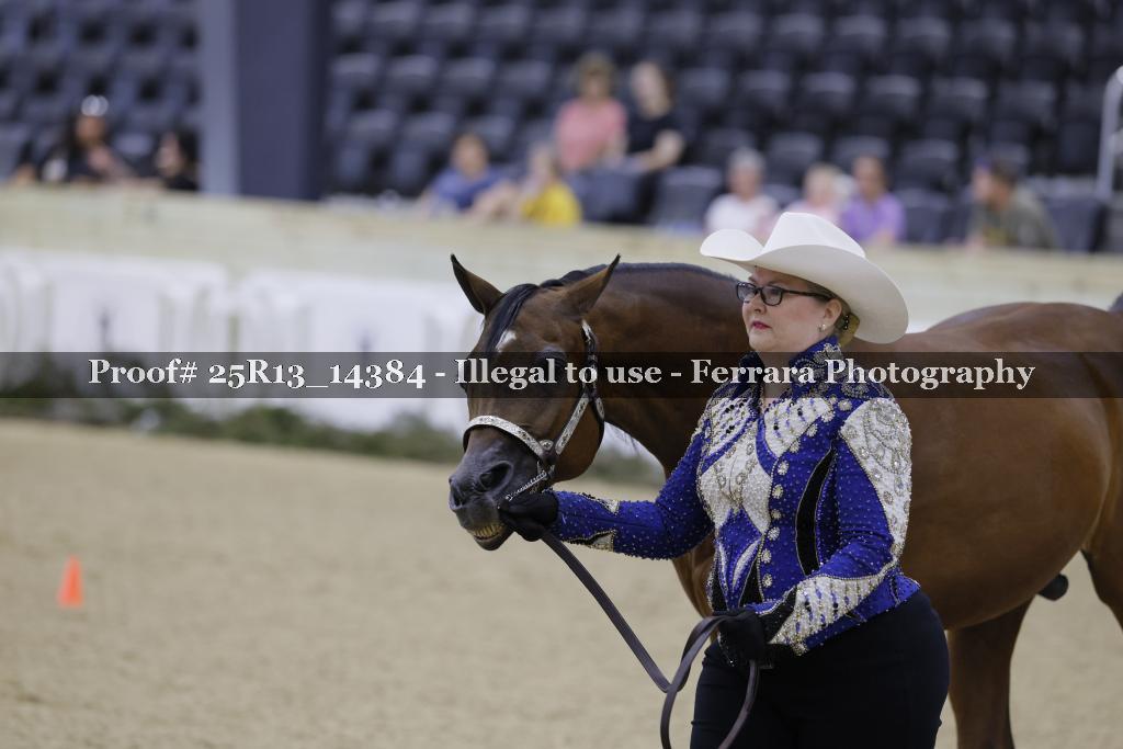 Proof 25R13_14384