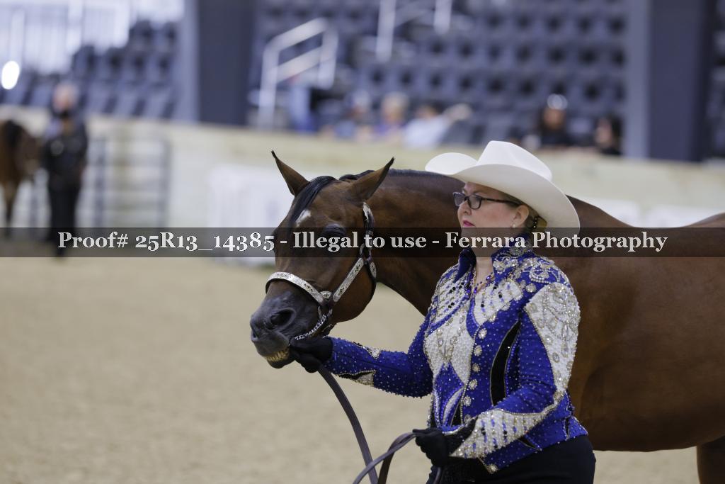 Proof 25R13_14385