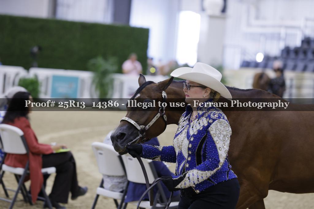 Proof 25R13_14386