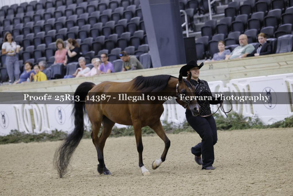 Proof 25R13_14387