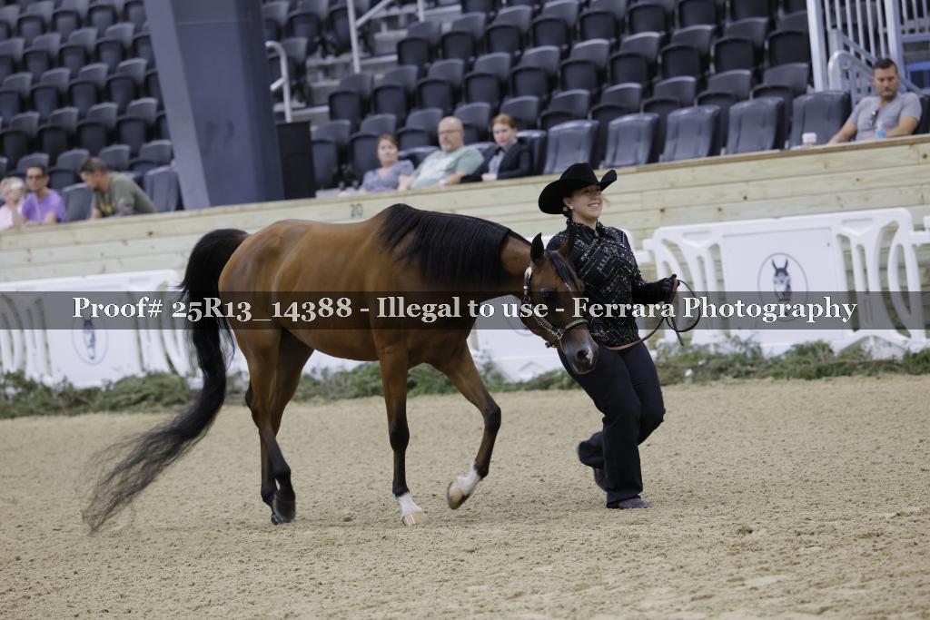 Proof 25R13_14388