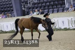 25R13_14388 proof