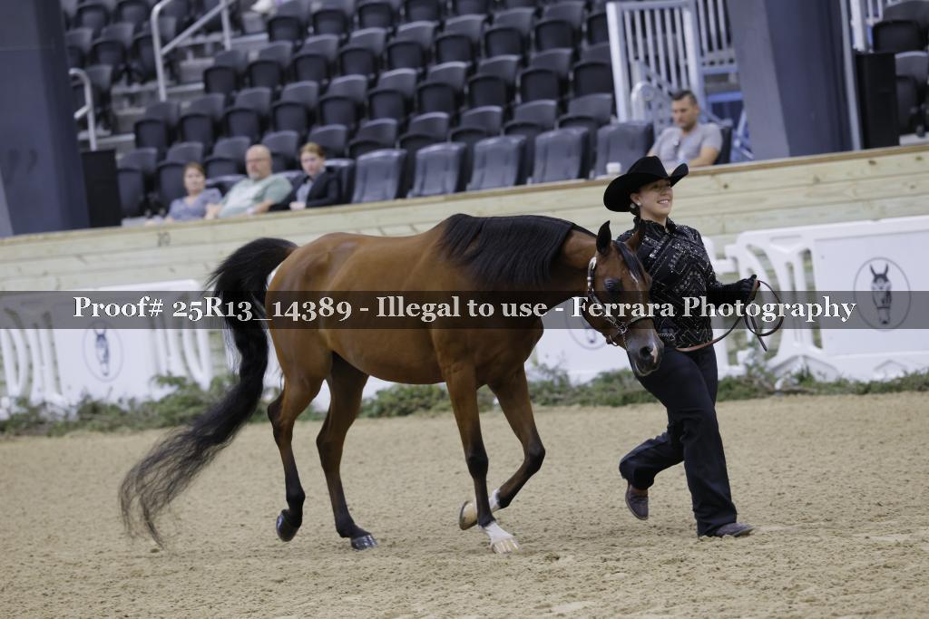 Proof 25R13_14389